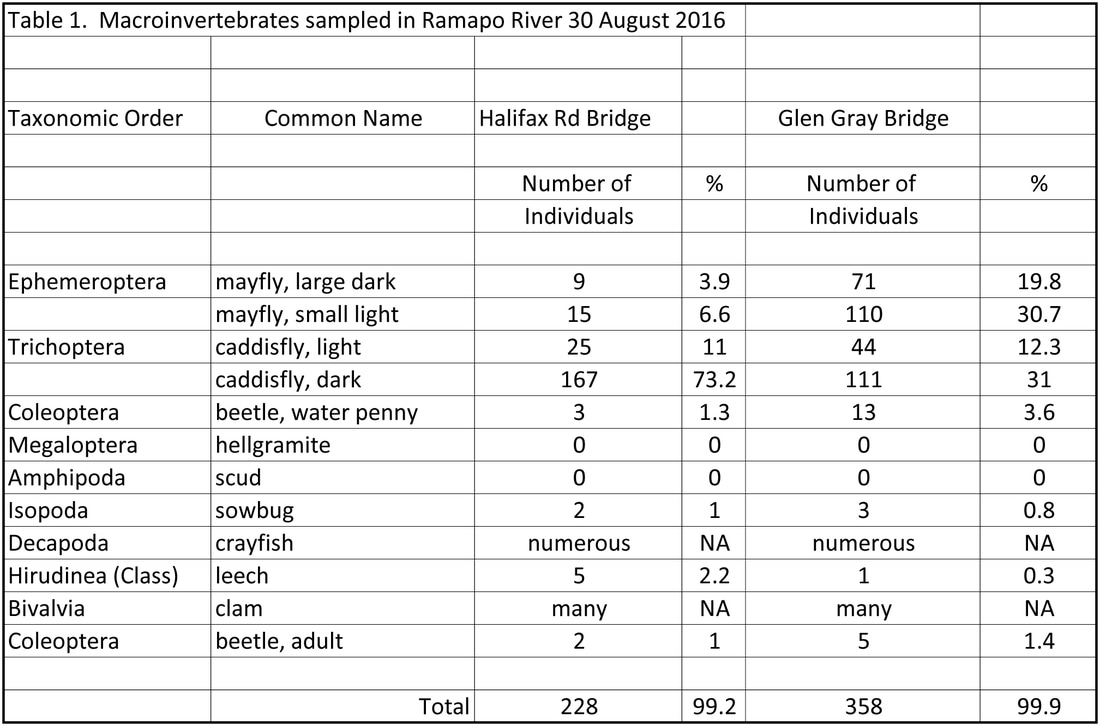 Nj Fly Hatch Chart