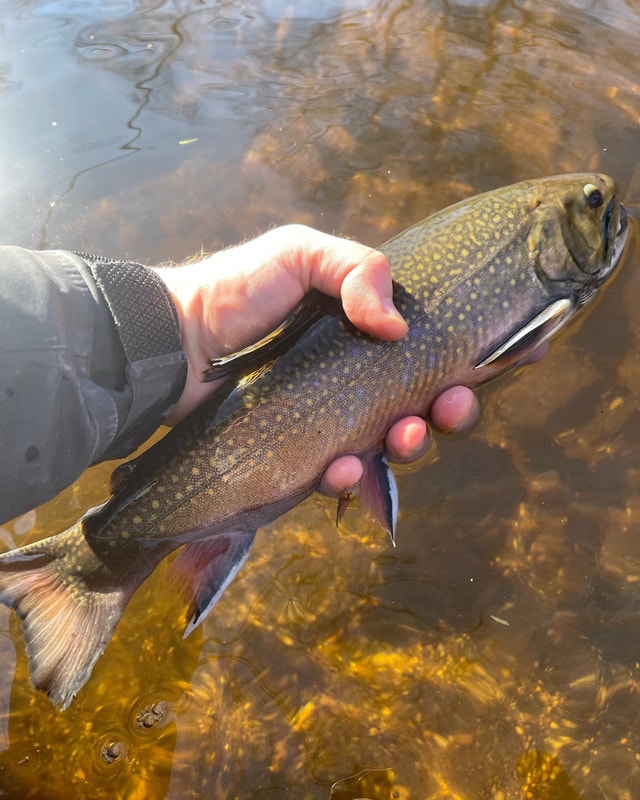 Musconetcong River Trip - East Jersey Trout Unlimited